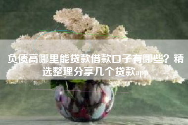 负债高哪里能贷款借款口子有哪些？精选整理分享几个贷款app