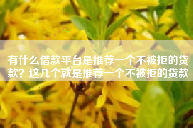 有什么借款平台是推荐一个不被拒的贷款?这几个就是推荐一个不被拒的贷款 有什么借款平台是推荐一个不被拒的贷款?这几个就是推荐一个不被拒的贷款