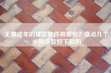 无需成年的贷款软件有哪些?盘点几个小额贷款好下款的 无需成年的贷款软件有哪些?盘点几个小额贷款好下款的