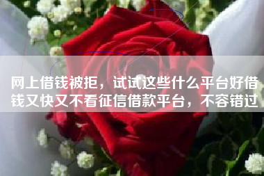 网上借钱被拒，试试这些什么平台好借钱又快又不看征信借款平台，不容错过