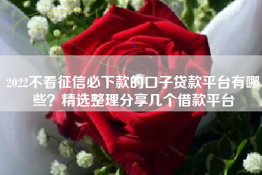 2022不看征信必下款的口子贷款平台有哪些？精选整理分享几个借款平台