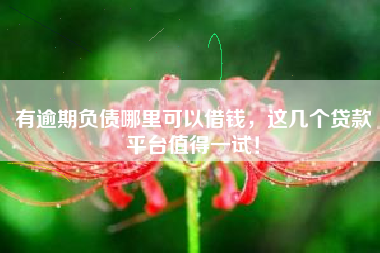 有逾期负债哪里可以借钱,这几个贷款平台值得一试! 有逾期负债哪里可以借钱,这几个贷款平台值得一试!