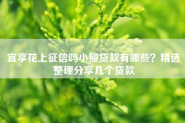 宜享花上征信吗小额贷款有哪些？精选整理分享几个贷款