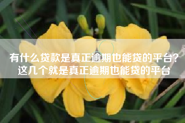 有什么贷款是真正逾期也能贷的平台?这几个就是真正逾期也能贷的平台 有什么贷款是真正逾期也能贷的平台?这几个就是真正逾期也能贷的平台