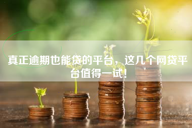 真正逾期也能贷的平台，这几个网贷平台值得一试！
