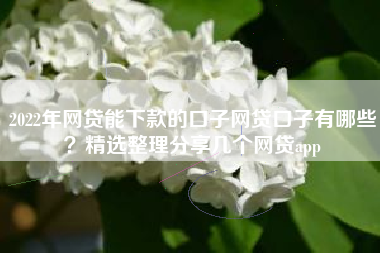 2022年网贷能下款的口子网贷口子有哪些？精选整理分享几个网贷app