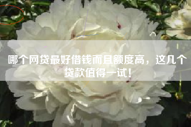 哪个网贷最好借钱而且额度高，这几个贷款值得一试！