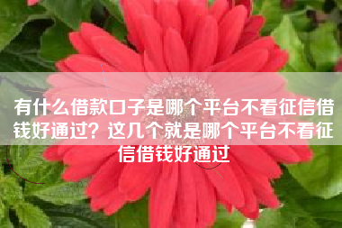 有什么借款口子是哪个平台不看征信借钱好通过？这几个就是哪个平台不看征信借钱好通过