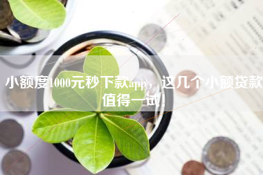 小额度1000元秒下款app，这几个小额贷款值得一试！