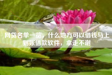 网贷名单一览，什么地方可以借钱马上到账借款软件，拿走不谢