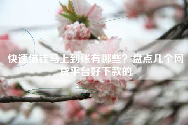 快速借钱马上到账有哪些?盘点几个网贷平台好下款的 快速借钱马上到账有哪些?盘点几个网贷平台好下款的