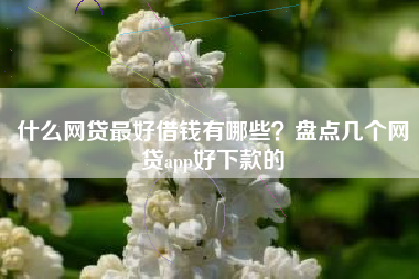 什么网贷最好借钱有哪些？盘点几个网贷app好下款的