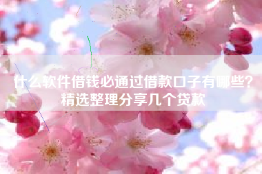 什么软件借钱必通过借款口子有哪些？精选整理分享几个贷款