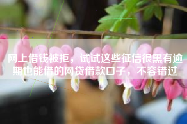 网上借钱被拒，试试这些征信很黑有逾期也能借的网贷借款口子，不容错过