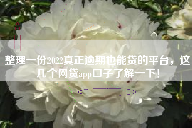 整理一份2022真正逾期也能贷的平台，这几个网贷app口子了解一下！