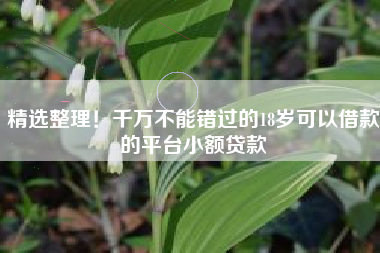 精选整理！千万不能错过的18岁可以借款的平台小额贷款