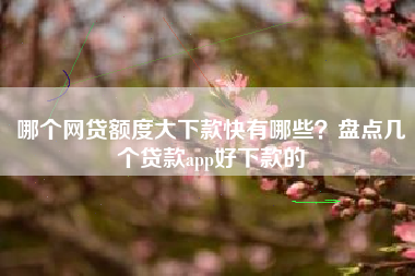 哪个网贷额度大下款快有哪些？盘点几个贷款app好下款的