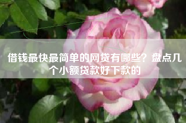 借钱最快最简单的网贷有哪些？盘点几个小额贷款好下款的