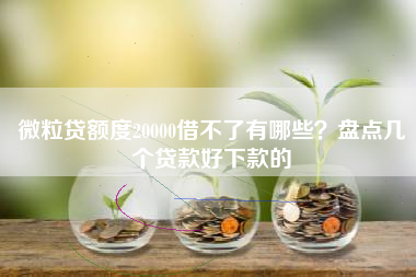 微粒贷额度20000借不了有哪些？盘点几个贷款好下款的