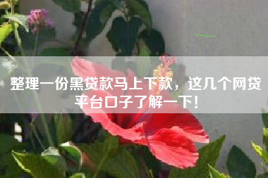 整理一份黑贷款马上下款，这几个网贷平台口子了解一下！