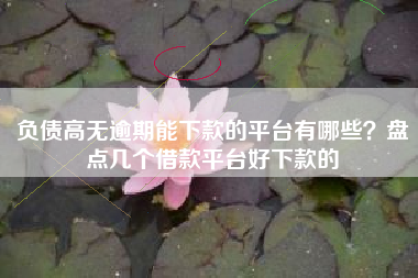 负债高无逾期能下款的平台有哪些？盘点几个借款平台好下款的