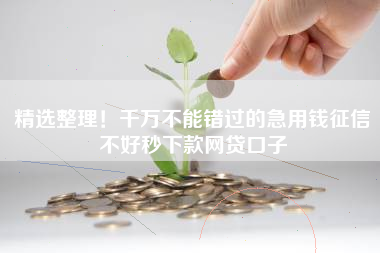 精选整理！千万不能错过的急用钱征信不好秒下款网贷口子