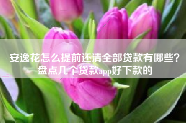 安逸花怎么提前还清全部贷款有哪些？盘点几个贷款app好下款的