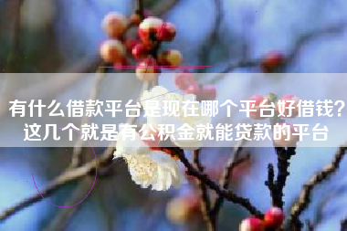 有什么借款平台是现在哪个平台好借钱？这几个就是有公积金就能贷款的平台