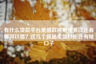 有什么贷款平台是借款被拒很多次还有哪可以借？这几个就是全部秒拒还有啥口子