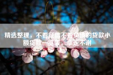 精选整理，不看征信不看负债的贷款小额贷款一览表，拿走不谢
