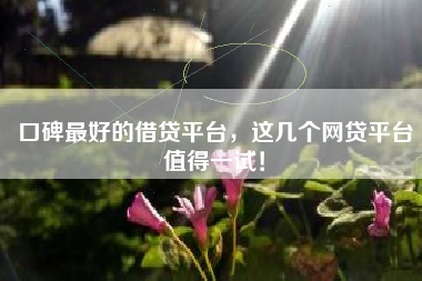 口碑最好的借贷平台，这几个网贷平台值得一试！