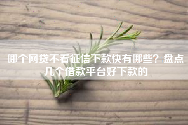 哪个网贷不看征信下款快有哪些？盘点几个借款平台好下款的