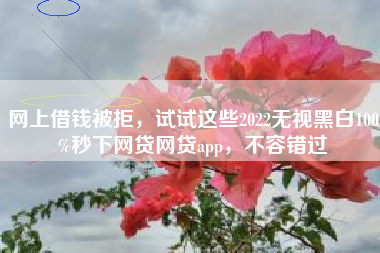 网上借钱被拒，试试这些2022无视黑白100%秒下网贷网贷app，不容错过
