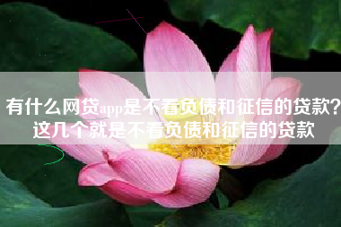有什么网贷app是不看负债和征信的贷款？这几个就是不看负债和征信的贷款