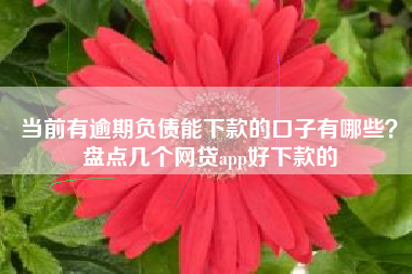 当前有逾期负债能下款的口子有哪些？盘点几个网贷app好下款的