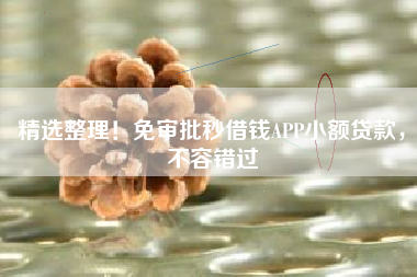 精选整理！免审批秒借钱APP小额贷款，不容错过