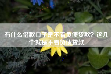 有什么借款口子是不看负债贷款？这几个就是不看负债贷款