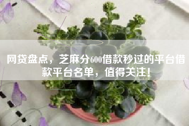 网贷盘点，芝麻分600借款秒过的平台借款平台名单，值得关注！