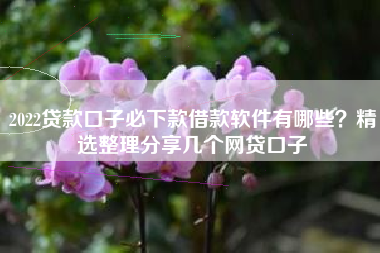 2022贷款口子必下款借款软件有哪些？精选整理分享几个网贷口子