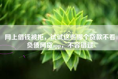 网上借钱被拒，试试这些哪个贷款不看负债网贷app，不容错过