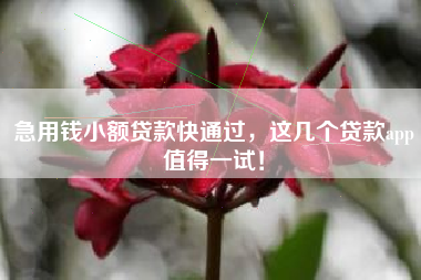 急用钱小额贷款快通过，这几个贷款app值得一试！
