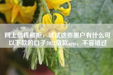 网上借钱被拒，试试这些黑户有什么可以下款的口子2022贷款app，不容错过
