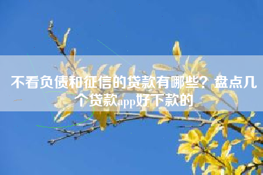 不看负债和征信的贷款有哪些？盘点几个贷款app好下款的