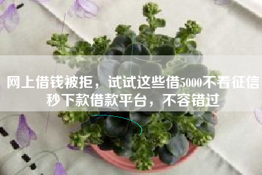 网上借钱被拒，试试这些借5000不看征信秒下款借款平台，不容错过