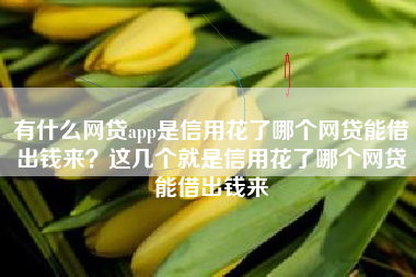 有什么网贷app是信用花了哪个网贷能借出钱来？这几个就是信用花了哪个网贷能借出钱来