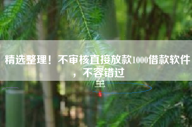 精选整理！不审核直接放款1000借款软件，不容错过