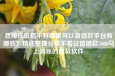 急用钱征信不好哪里可以贷借款平台有哪些？精选整理分享不看征信借款5000马上到账的借款软件
