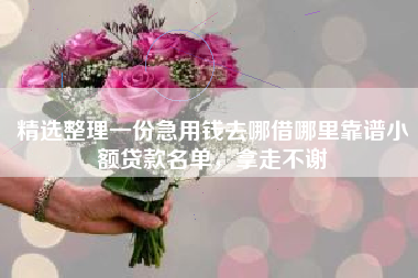 精选整理一份急用钱去哪借哪里靠谱小额贷款名单，拿走不谢