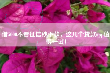 借5000不看征信秒下款，这几个贷款app值得一试！