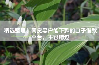 精选整理！网贷黑户能下款的口子借款平台，不容错过